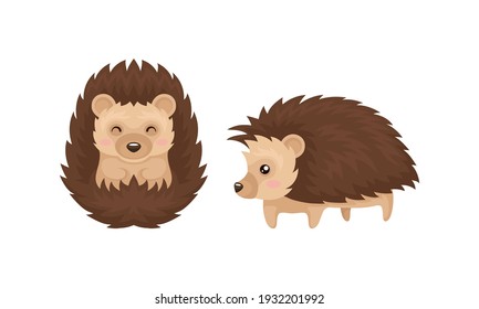 Cute Hedgehog in Various Poses as Prickly Forest Animal Vector Set