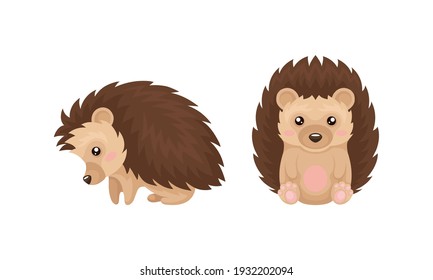 Cute Hedgehog in Various Poses as Prickly Forest Animal Vector Set