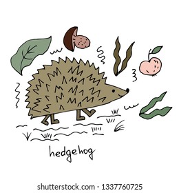 Cute hedgehog. Vector illustration.