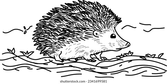Cute hedgehog vector illustration. Digital hand-drawn .