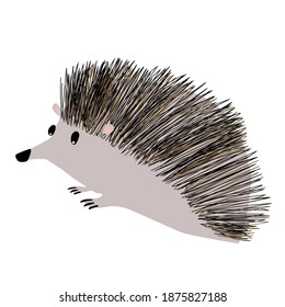 Cute Hedgehog Vector Illustration Doodle handrawn Style. Logo. Package Design. Kids Room Poster. Animal Illustration
