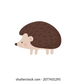 Cute Hedgehog. Vector kids illustration in flat style.
