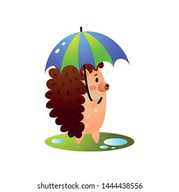 Cute hedgehog is walking after storm rain with umbrella
