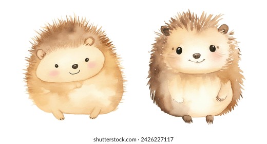 cute Hedgehog watercolor illustration design