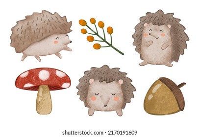 Cute hedgehogs and mushroom, oak and flower, subject element with watercolor painting in cartoon style, vector illustration