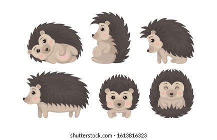 Cute Hedgehogs in Various Poses Vector Set. Friendly Forest Creature Collection