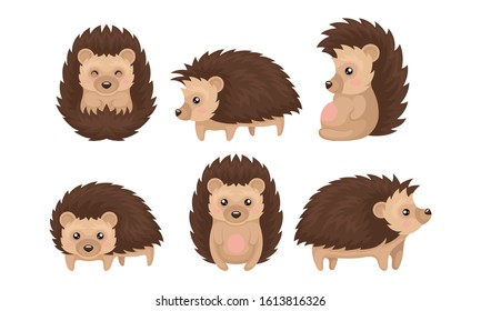 Cute Hedgehogs in Various Poses Vector Set. Friendly Forest Creature Collection