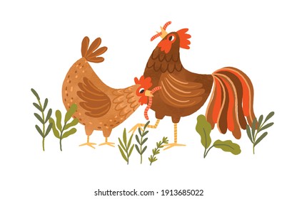 Cute hen and rooster eating worms. Domestic chickens catching earthworms. Colorful flat textured vector illustration isolated on white background