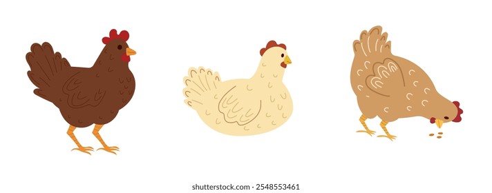 Lindo conjunto de gallinas, animal de granja, aves de corral, pollo. Diseño simple del Vector aislado en el fondo blanco