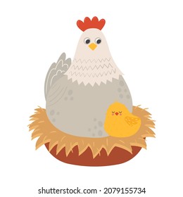 Cute hen sitting on a straw nest with little chick. Domestic chicken brooding eggs flat vector illustration. Farm animal isolated on white background