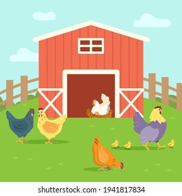 Cute hens with chickens walking on farm yard. Grass, feather, egg flat vector illustration. Farm animals and birds concept for banner, website design or landing web page