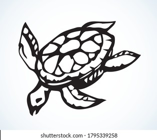 Cute hermanni character set. Outline black ink hand drawn aqua zoo scale pictogram emblem design fun retro art doodle engrave etch print style. Close up top view light white paper text space backdrop