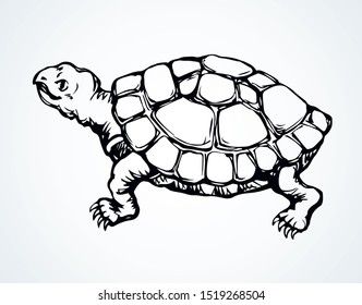 Cute hermanni look on white backdrop. Freehand outline black ink hand drawn zoo scale logo pictogram emblem design in retro art doodle etched print style pen on paper text space. Close up side view