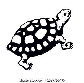 Cute hermanni look on white backdrop. Freehand outline black ink hand drawn zoo scale logo pictogram emblem design in retro art doodle etched print style pen on paper text space. Close up side view