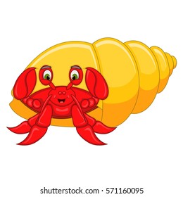Cute hermit crab cartoon vector illustration