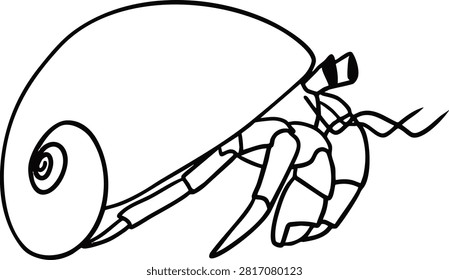 Cute hermit crab and