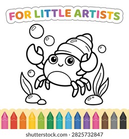 Cute Hermit Crab With
