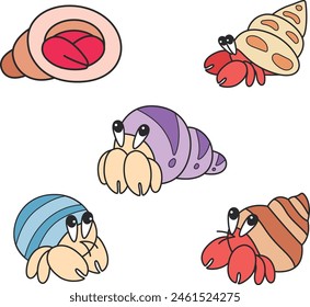 Cute hermit crab vector illustration