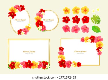 Cute hibiscus background illustration set