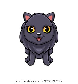 Cute highland fold cat cartoon