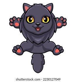 Cute highland fold cat cartoon