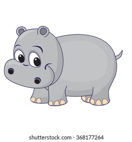 Cute hippo baby 