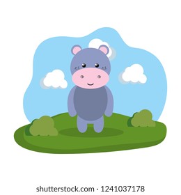 cute hippo in the camp