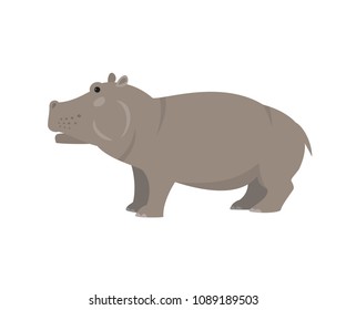 Cute hippo on white background. Vector illustration.