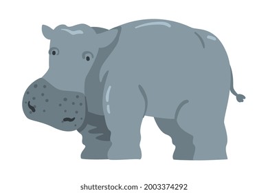 Cute Hippopotamus African Animal, Wild Herbivore Jungle Animal Cartoon Vector Illustration