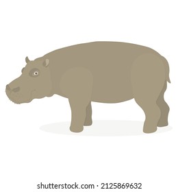 Cute hippopotamus. Pet. Vector illustration in cartoon style. Gray, brown color, white background. Pet of the zoo, safari animal, Africa. Big, strong hippo. Baby room decoration, greeting card design.