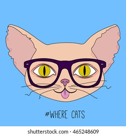 Cute hipster cat head with yellow eyes and glasses on blue background. Vector flat illustration.