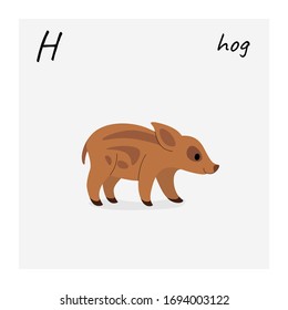 Cute hog - cartoon animal character. Vector illustration in flat style isolated on gray background.