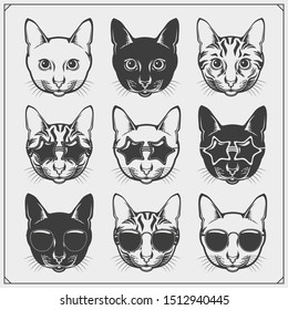 Cute holiday cats collection. Greeting card design, print design for t-shirt, template for pet shop logo.