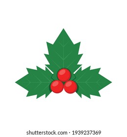 Cute holly isolated on white background. Vector illustration.