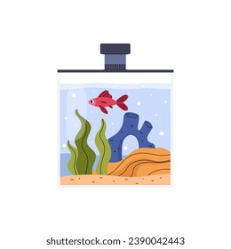 Cute home aquarium with swimming red fish flat style, vector illustration isolated on white background. Decorative design element, life and nature. Seaweed, sand and bubbles