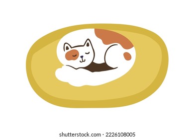 Cute home cat sleeping on soft pillow, pets cushion. Adorable kitty lying, relaxing in feline bed. Happy kitten resting curled up. Flat vector illustration isolated on white background