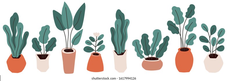 Cute home gardening theme horizontal banner background, trendy hand drawn plants in pots in simple flat style as secret garden, urban jungle or greenhouse