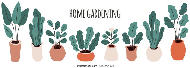 Cute home gardening theme horizontal banner background, trendy hand drawn plants in pots in simple flat style as secret garden, urban jungle or greenhouse