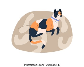 Cute home kitty lying in soft cat bed. Happy adorable kitten resting on comfortable pet cushion. Feline animal relax on comfy pillow in comfort. Flat vector illustration isolated on white background