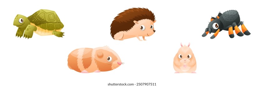 Cute Home Pet Animal with Turtle, Hamster, Hedgehog and Spider Vector Set