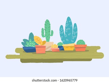 Cute home plants. Vector illustration 
