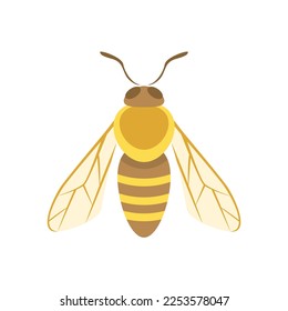 Abeja dulce. Dibujo plano de caricatura simple. Icono de insecto vector.