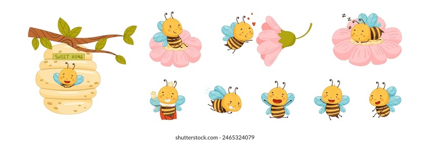 Cute Honey Bee Character with Pretty Face and Striped Body Vector Set