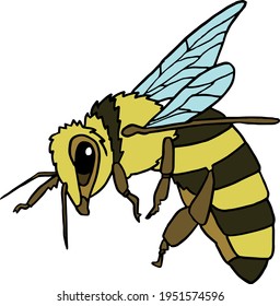 Cute Honey Bee Vector Isolated
