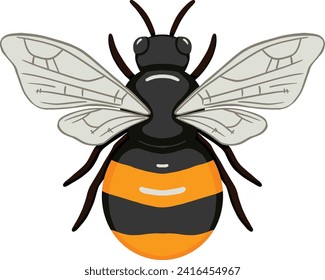 Cute Honey Bumble Bee Illustration