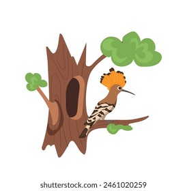 Cute hoopoe bird cartoon character sitting on tree branch nearby hollow house isolated on white