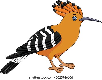 Cute Hoopoe bird cartoon vector illustration