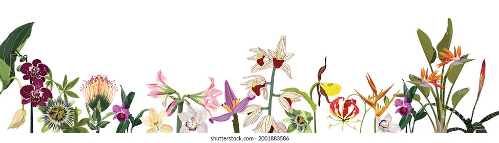 Cute horizontal pattern with hand drawn exotic tropical flowers with leaves. Beautiful background great for greeting cards, banner, textiles, wallpapers.