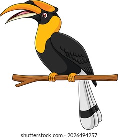 Cute Hornbill Bird Cartoon Vector Illustration