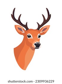 cute and horned deer head isolated